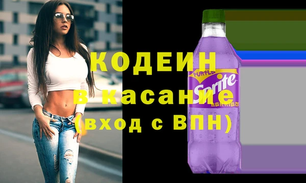 ПСИЛОЦИБИНОВЫЕ ГРИБЫ Арсеньев