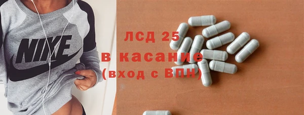ПСИЛОЦИБИНОВЫЕ ГРИБЫ Арсеньев