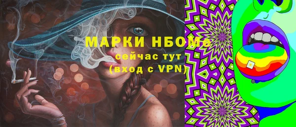 ПСИЛОЦИБИНОВЫЕ ГРИБЫ Арсеньев